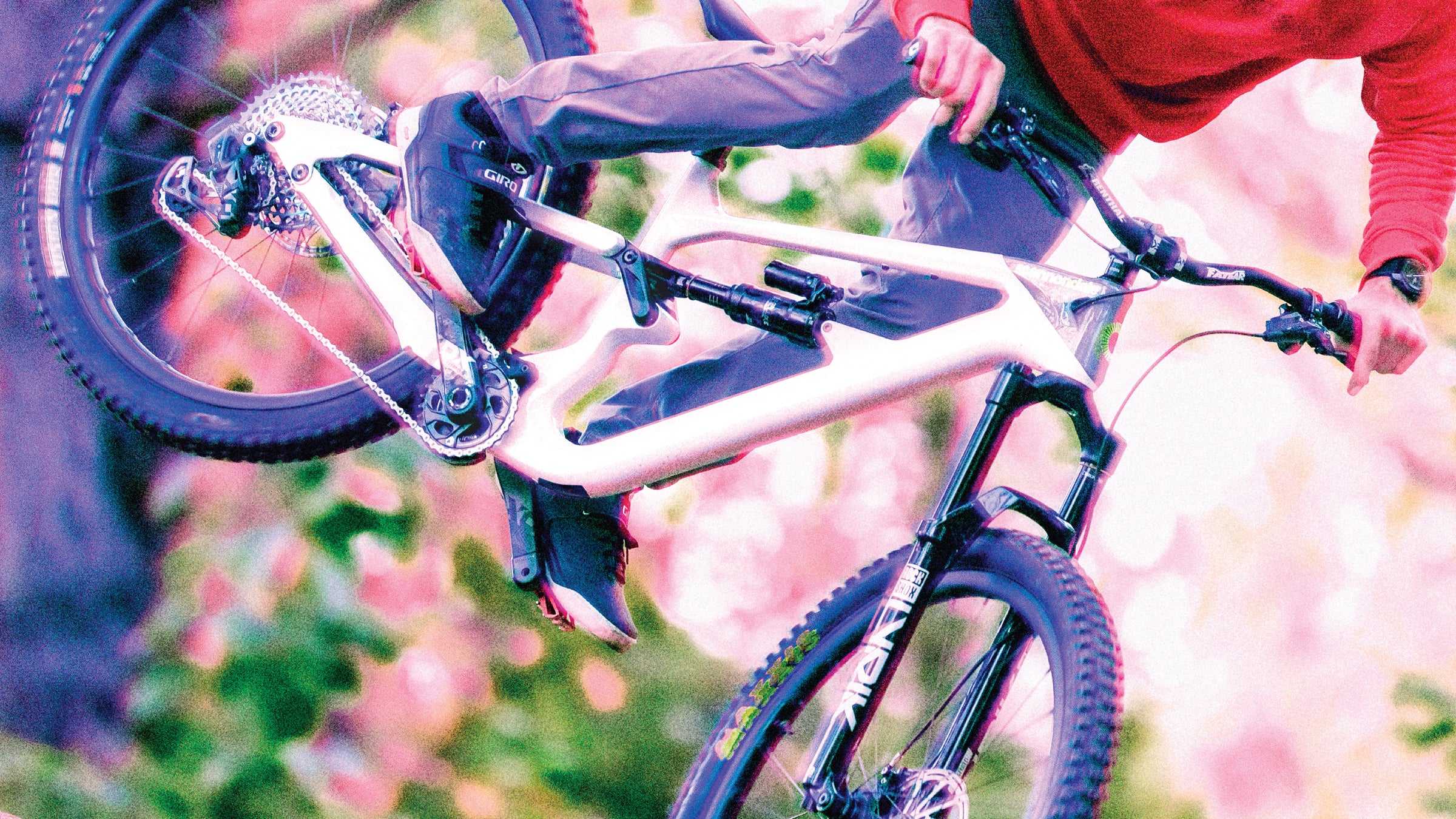 MTB TRAIL / ENDURO (CANNONDALE)