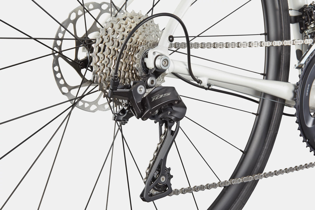 Synapse 1