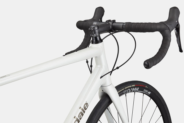 Synapse 1