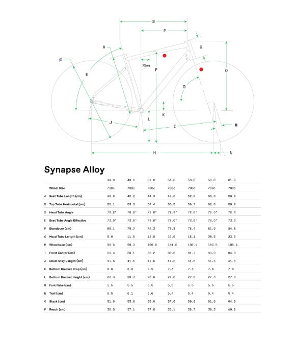 Synapse 1