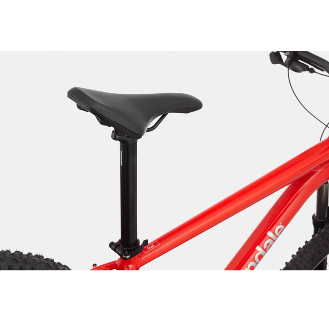Cannondale trail 5 2021 weight best sale