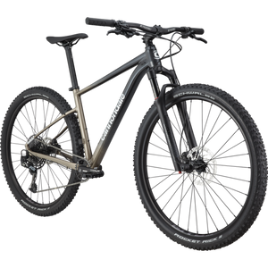 Cannondale TRAIL SL 29er シングルスピード Trail Sl 1 – RD Cycles